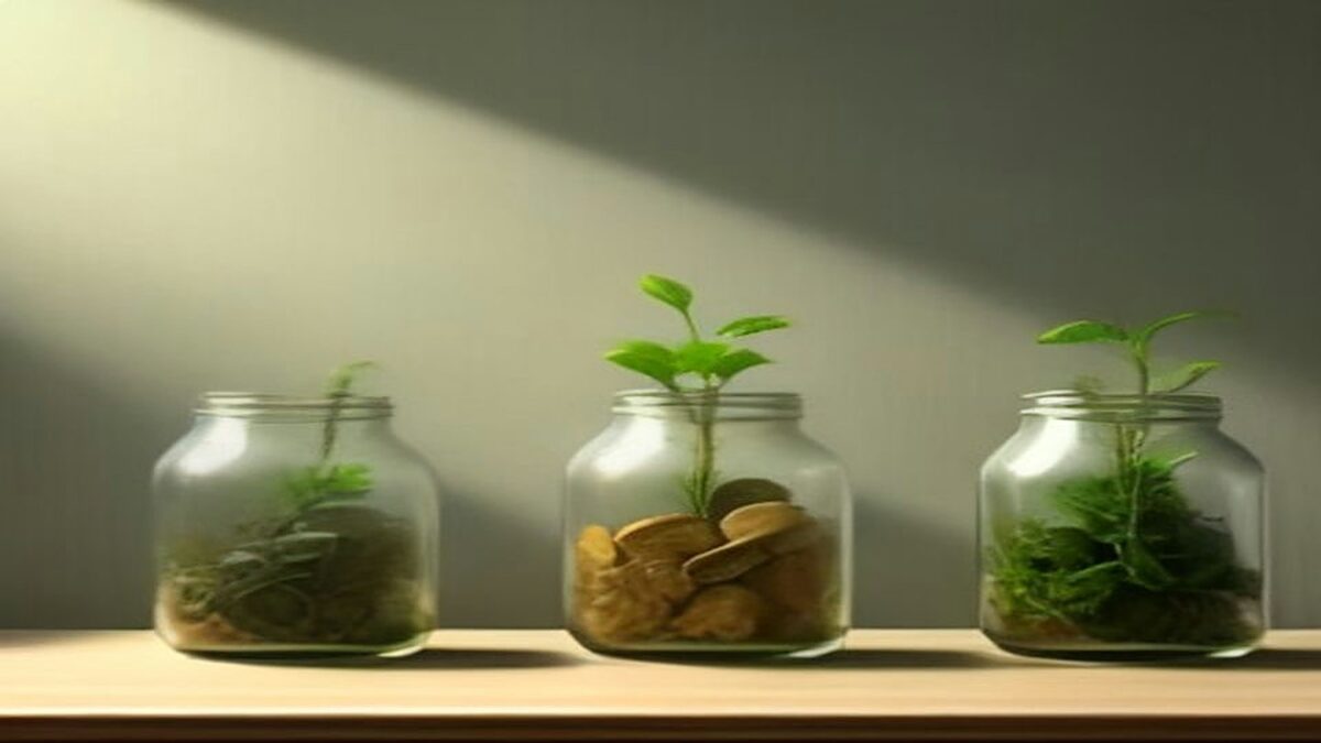 Tres frascos de vidrio con monedas y pequeñas plantas brotando sobre una repisa de madera con luz de día, ilustración del interés compuesto