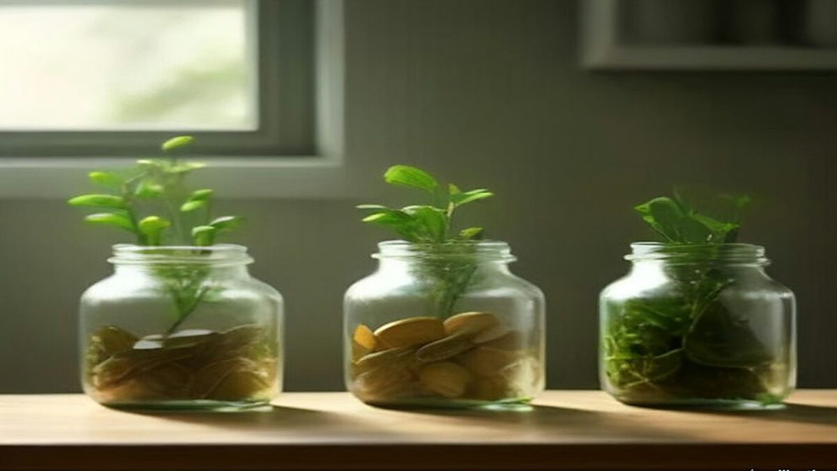 Tres frascos de vidrio con monedas y plantas en distinta proporción sobre una superficie de madera, ilustración de opciones de ahorro